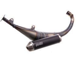 Pot d'échappement 100cc Polini Big Evo Minarelli AM6