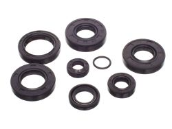 Pochette de joint spi Watts Minarelli AM6