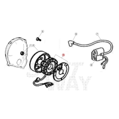 Stator d'allumage origine Beta RR 50 2T après 2021