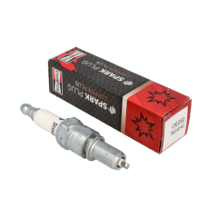 Bougie Champion RG4HC (équivalent CR9E)