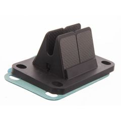 Clapet type V Force Carenzi Minarelli AM6