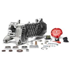 Carter moteur Malossi RC-ONE 100cc MHR Piaggio 