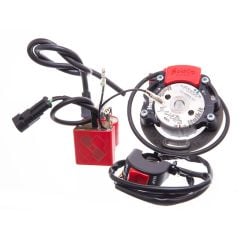 Allumage Italkit Selettra 2 courbes rotor interne Minarelli AM6