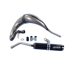 Pot d'échappement Polini For Race 2 Beta 2012 à 2020