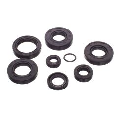 Pochette de joint spi Watts Minarelli AM6