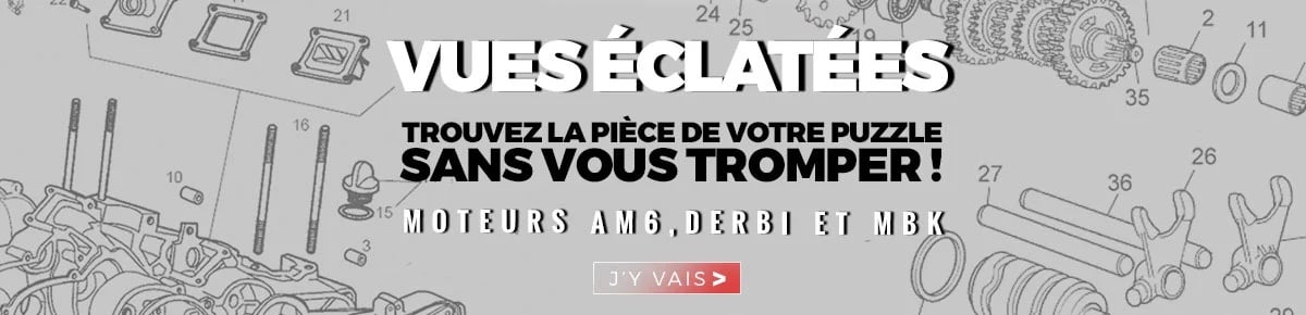 Image de pr&eacute;sentation des &eacute;clat&eacute;s moteurs Minarelli AM6, Derbi Euro 2,3 et 4 et des moteur Minarelli De scooter MBK et Yamaha
